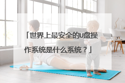 世界上最安全的U盘操作系统是什么系统？