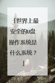 世界上最安全的U盘操作系统是什么系统?