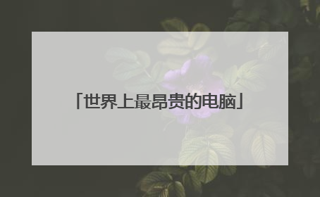 世界上最昂贵的电脑