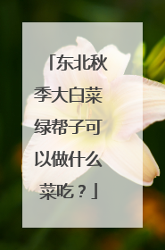 东北秋季大白菜绿帮子可以做什么菜吃？