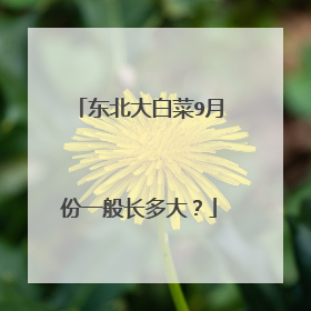 东北大白菜9月份一般长多大？