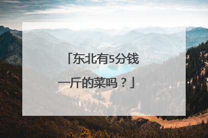 东北有5分钱一斤的菜吗?