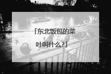 东北饭包的菜叶叫什么?