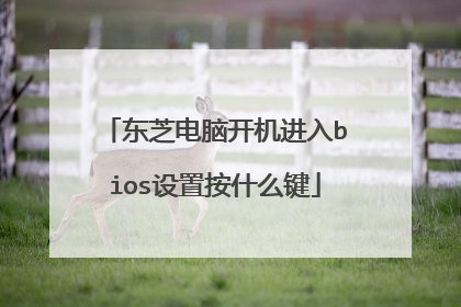 东芝电脑开机进入bios设置按什么键