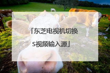 东芝电视机切换S视频输入源