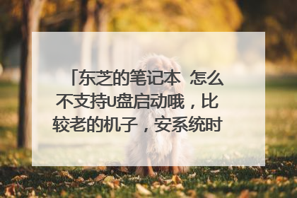 东芝的笔记本 怎么不支持U盘启动哦,比较老的机子,安系统时不能进入安装界面,这是怎么回事,用ghost装的
