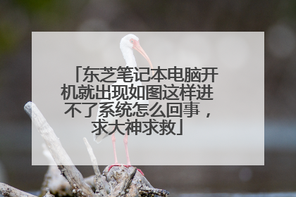 东芝笔记本电脑开机就出现如图这样进不了系统怎么回事,求大神求救