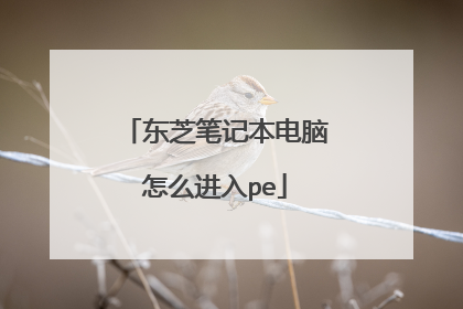 东芝笔记本电脑怎么进入pe