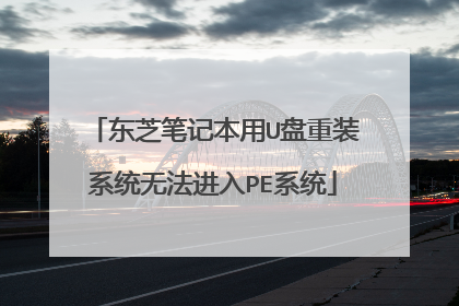 东芝笔记本用U盘重装系统无法进入PE系统