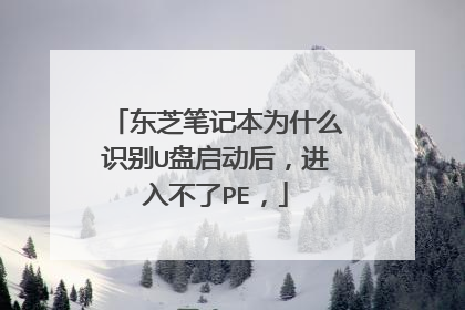 东芝笔记本为什么识别U盘启动后,进入不了PE,