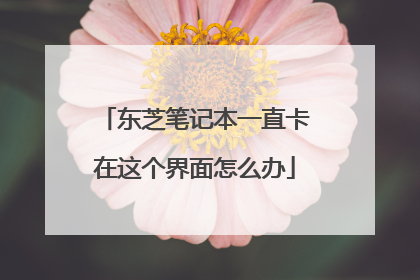 东芝笔记本一直卡在这个界面怎么办