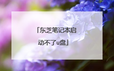 东芝笔记本启动不了u盘