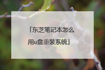 东芝笔记本怎么用u盘重装系统