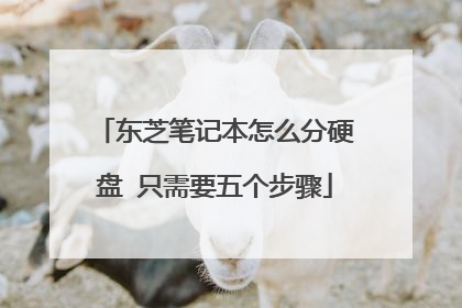 东芝笔记本怎么分硬盘 只需要五个步骤