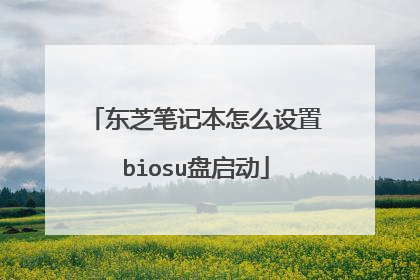 东芝笔记本怎么设置biosu盘启动