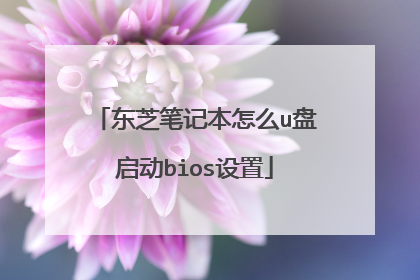 东芝笔记本怎么u盘启动bios设置