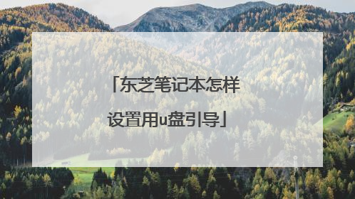 东芝笔记本怎样设置用u盘引导