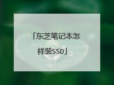 东芝笔记本怎样装SSD