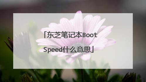 东芝笔记本Boot Speed什么意思