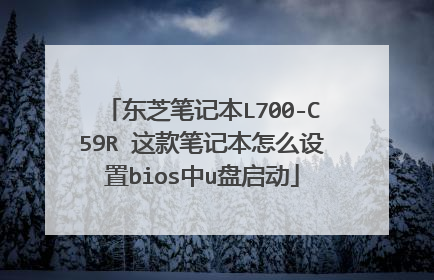 东芝笔记本L700-C59R 这款笔记本怎么设置bios中u盘启动