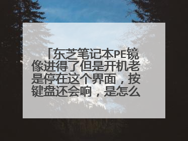 东芝笔记本PE镜像进得了但是开机老是停在这个界面,按键盘还会响,是怎么回事?重装了系统还是这样