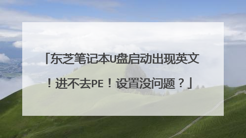 东芝笔记本U盘启动出现英文!进不去PE!设置没问题?