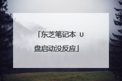 东芝笔记本 U盘启动没反应