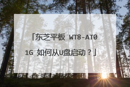 东芝平板 WT8-AT01G 如何从U盘启动?