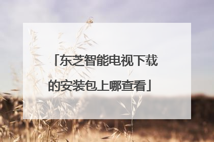 东芝智能电视下载的安装包上哪查看