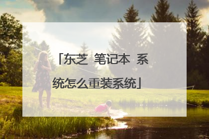 东芝 笔记本 系统怎么重装系统