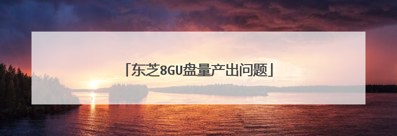 东芝8GU盘量产出问题