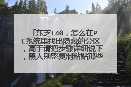 东芝L40,怎么在PE系统里找出隐藏的分区,高手请把步骤详细说下,黑人别整复制粘贴那些没用的。谢谢