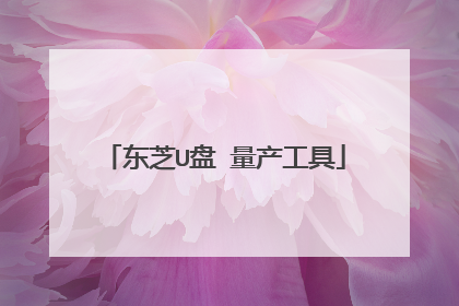 东芝U盘 量产工具