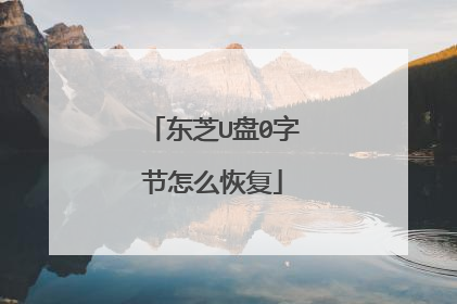 东芝U盘0字节怎么恢复