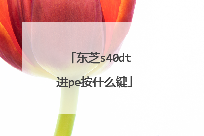 东芝s40dt进pe按什么键