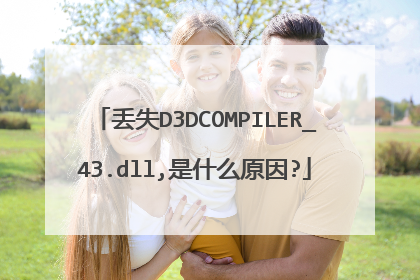 丢失D3DCOMPILER_43.dll,是什么原因?