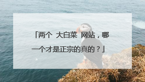 两个 大白菜 网站,哪一个才是正宗的真的?