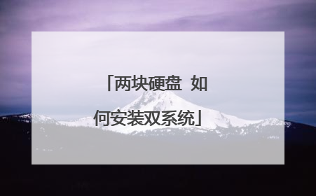 两块硬盘 如何安装双系统