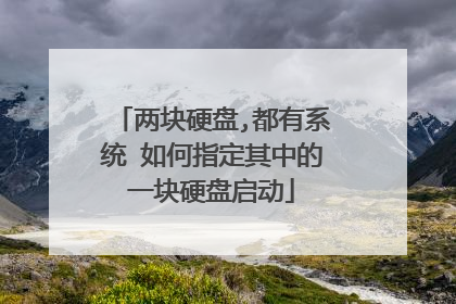 两块硬盘,都有系统 如何指定其中的一块硬盘启动