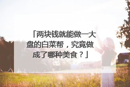两块钱就能做一大盘的白菜帮,究竟做成了哪种美食?