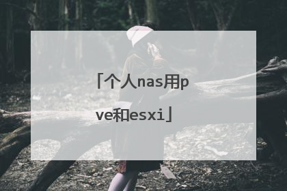个人nas用pve和esxi