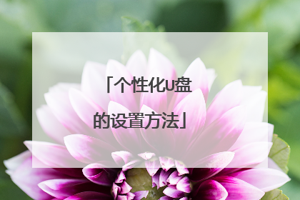 个性化U盘的设置方法