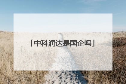 中科润达是国企吗