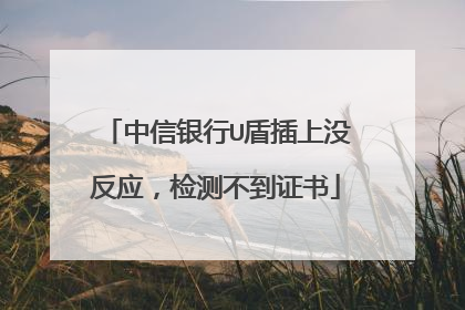 中信银行U盾插上没反应,检测不到证书