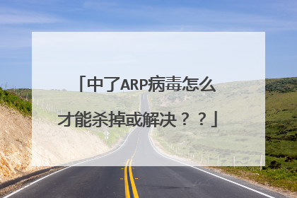 中了ARP病毒怎么才能杀掉或解决??