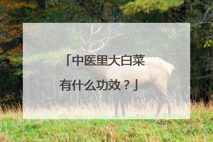 中医里大白菜有什么功效？