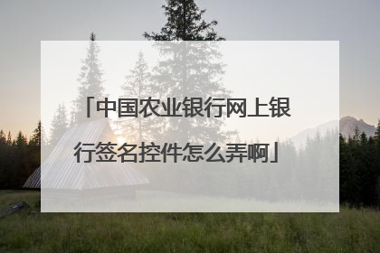 中国农业银行网上银行签名控件怎么弄啊