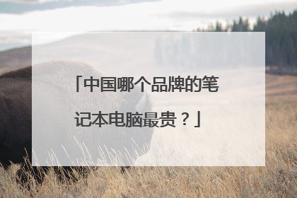 中国哪个品牌的笔记本电脑最贵?