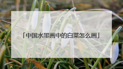 中国水墨画中的白菜怎么画