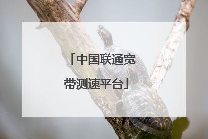 中国联通宽带测速平台